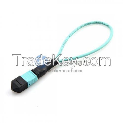 100gbase Sr-10 Mtp/mpo 24 Fiber Om3 Female Loopback Cable