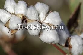 cotton bails