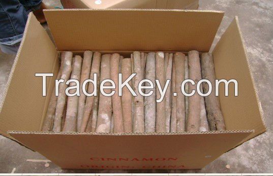 Cinnamon/cassia with high quality from Viet Nam