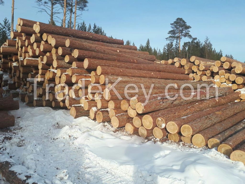 Siberian Wood