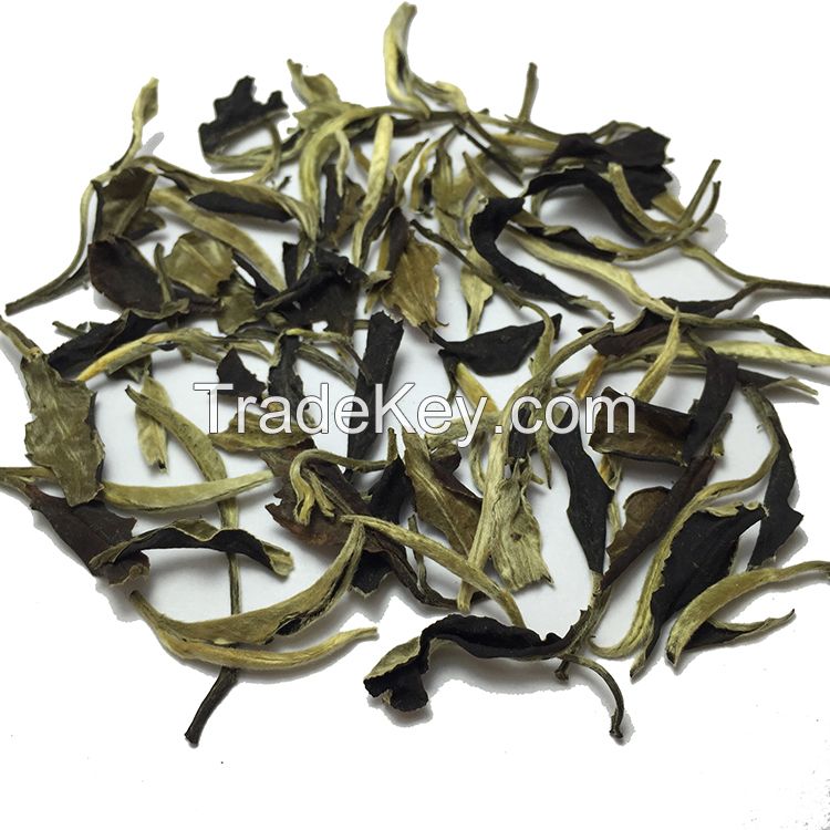 Organic white tea 