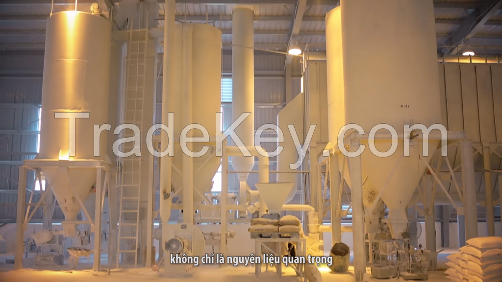 Best Vietnam coated white limestone powder CaCO3 1200 mesh D97 