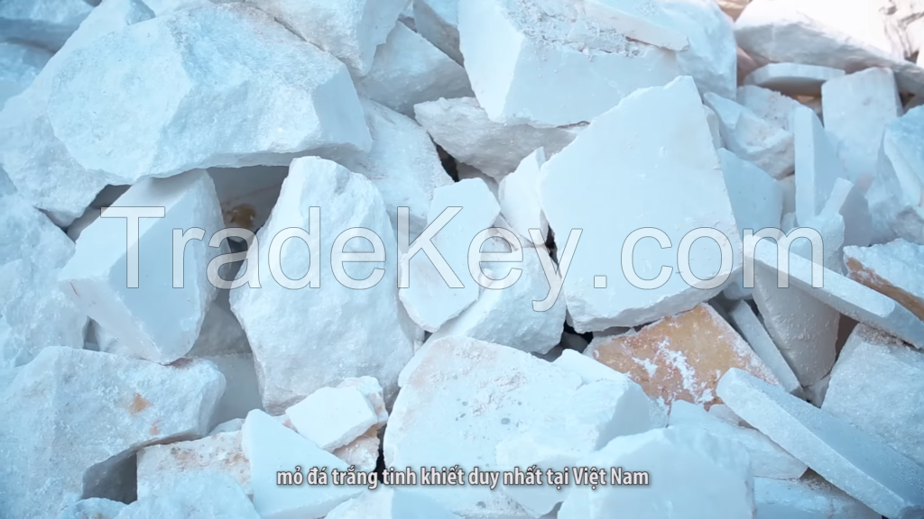 Best Vietnam coated white limestone powder CaCO3 1200 mesh D97 