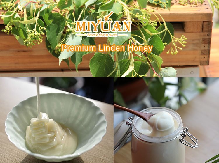 China Raw lime bee honey Product natural ripe and Bulk Packaging linden honey