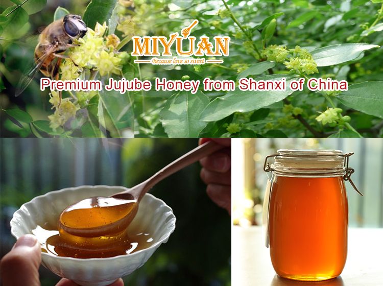 China Raw bee honey natural pure Jujube honey