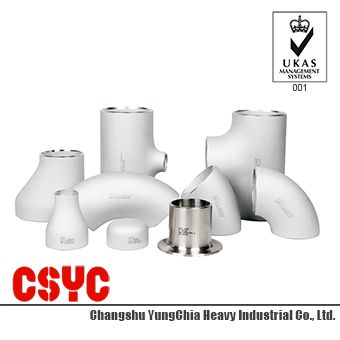 CSYC- Stainless Steel 304 316 Butt Welded Pipe Fitting, Elbow / Tee / Reducer / Cap / Stub End for Chemical and Electronic