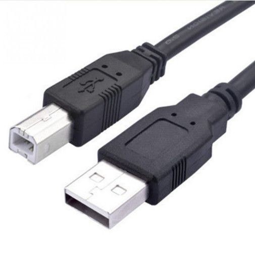 PVC Molded Type High Quality USB2.0 A Male to USB2.0 B Male Printer Cable with 2 Ferrites