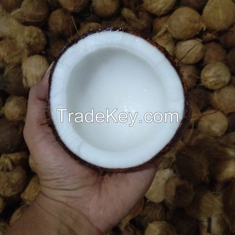 Semi-Husked Matured Coconut
