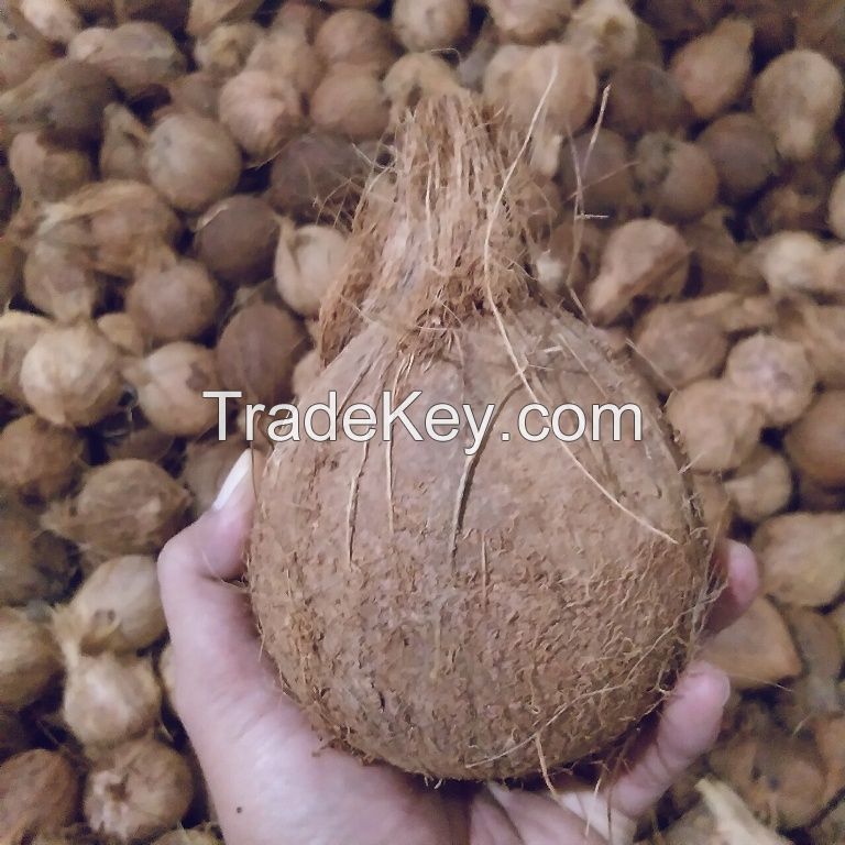 Semi-Husked Matured Coconut