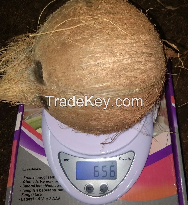 Semi-Husked Matured Coconut