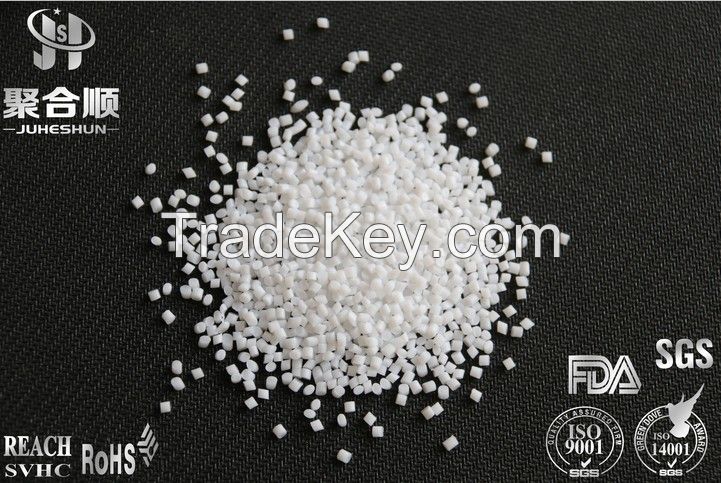 nylon6 chips pa6 chips 