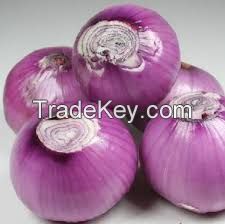 Fresh Onions