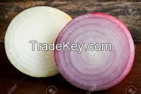 Fresh Onions