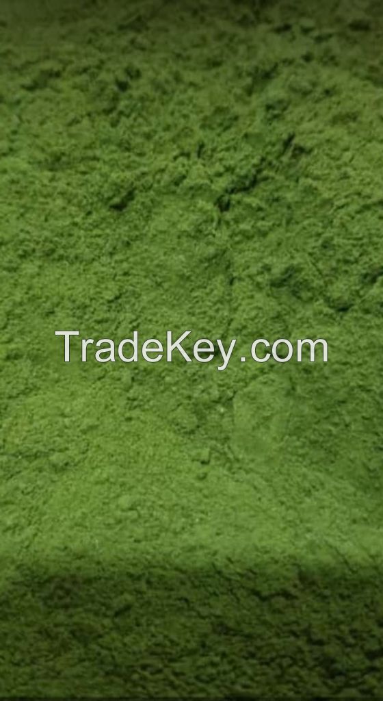 Moringa Powder