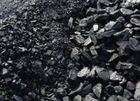 6500 kcal Coal Special Price