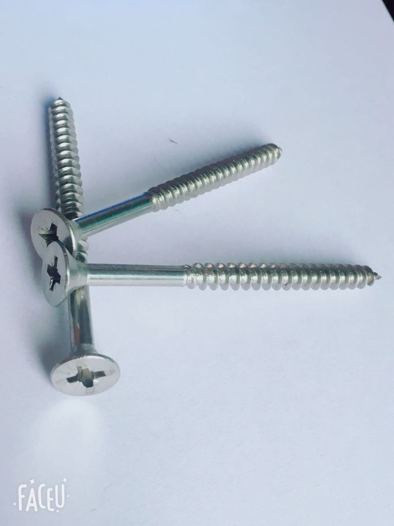 stainless steel screw