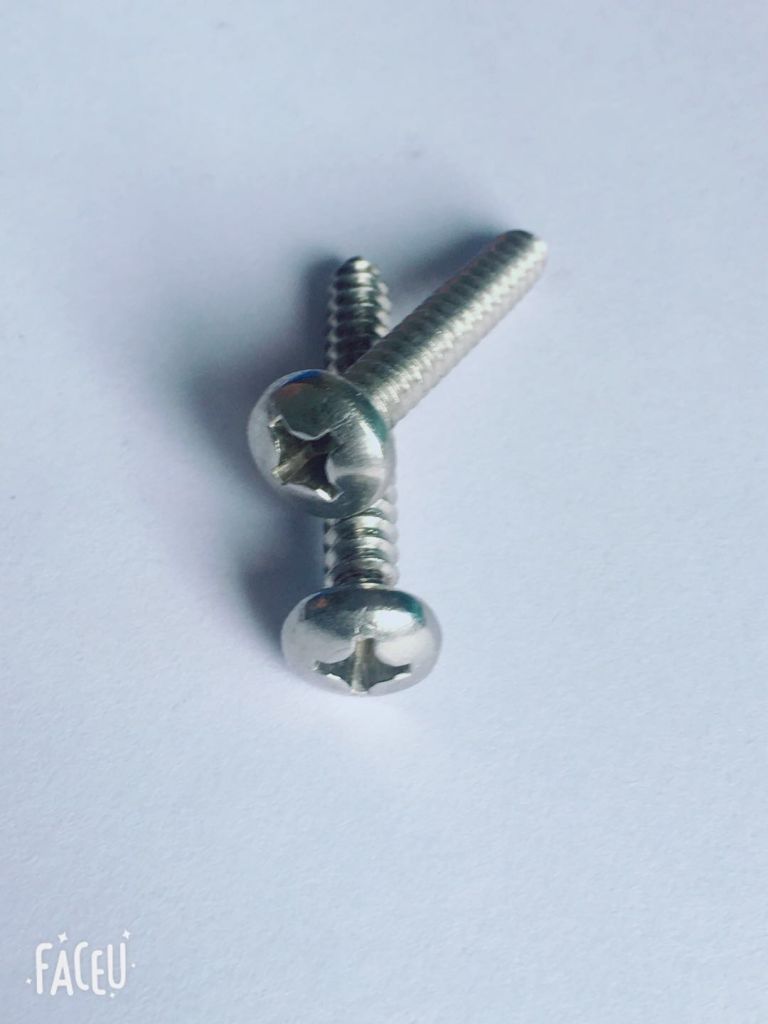 stainless steel screw