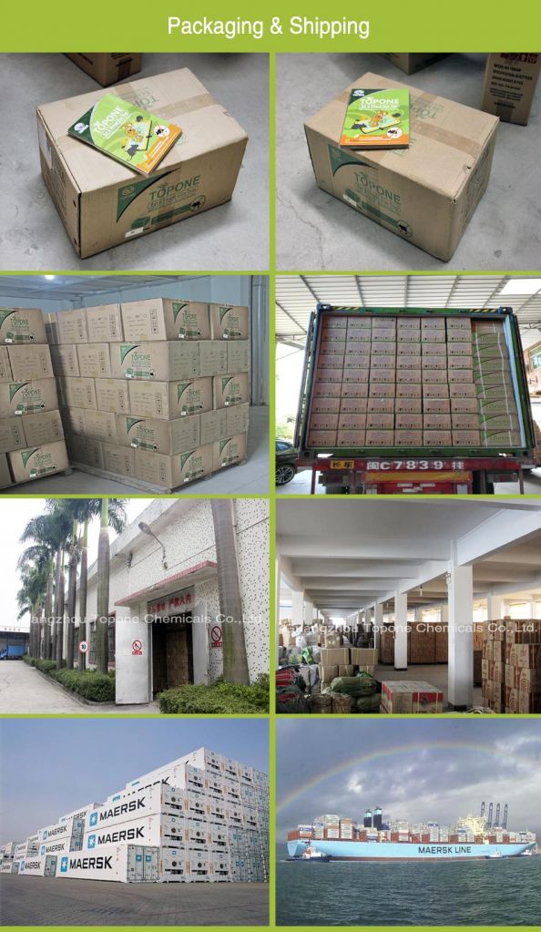 Green Environmental Protection And Powerful Paper Board Mouse Glue Trap For Food Factory