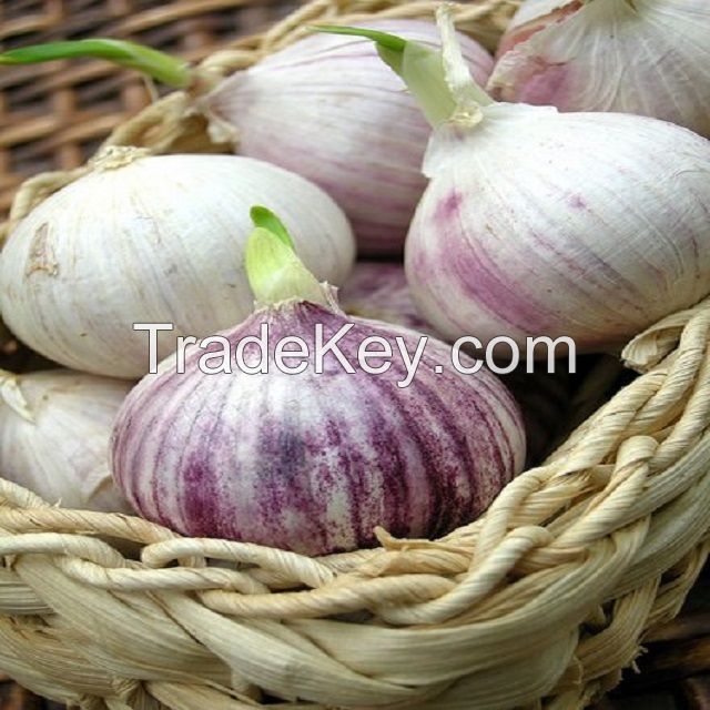 Single black garlic