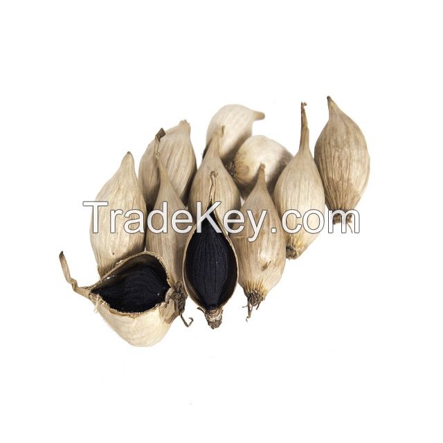 High quality Vietnamese single natural black garlic cheap price