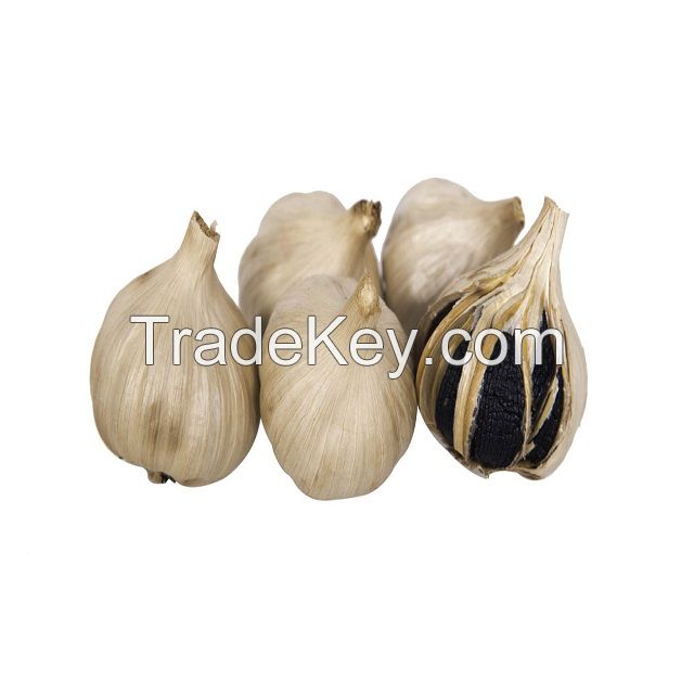 High quality Vietnamese single natural black garlic