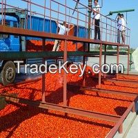 Complete tomato paste/sauce/ketchup/puree production line