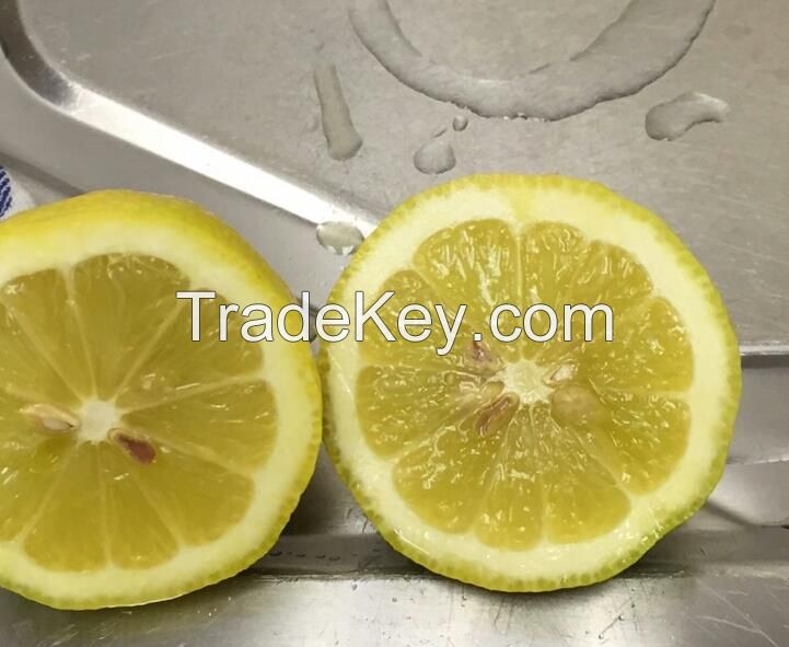 South African yellow Lemons