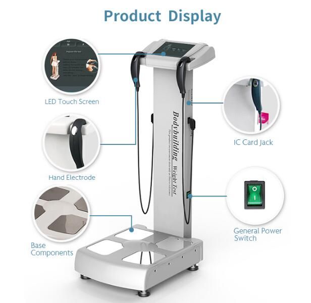 Body Composition Analyzer Human Bioelectrical Impedance Analysis Beauty  Machine