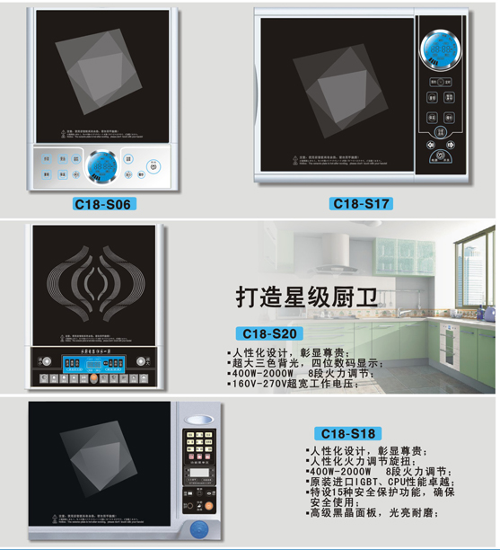 induction cooker-1
