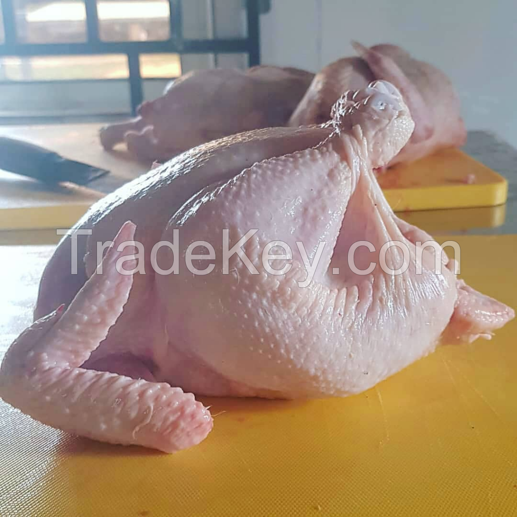 Low Price Premium Quality Frozen Whole Chicken Legs 