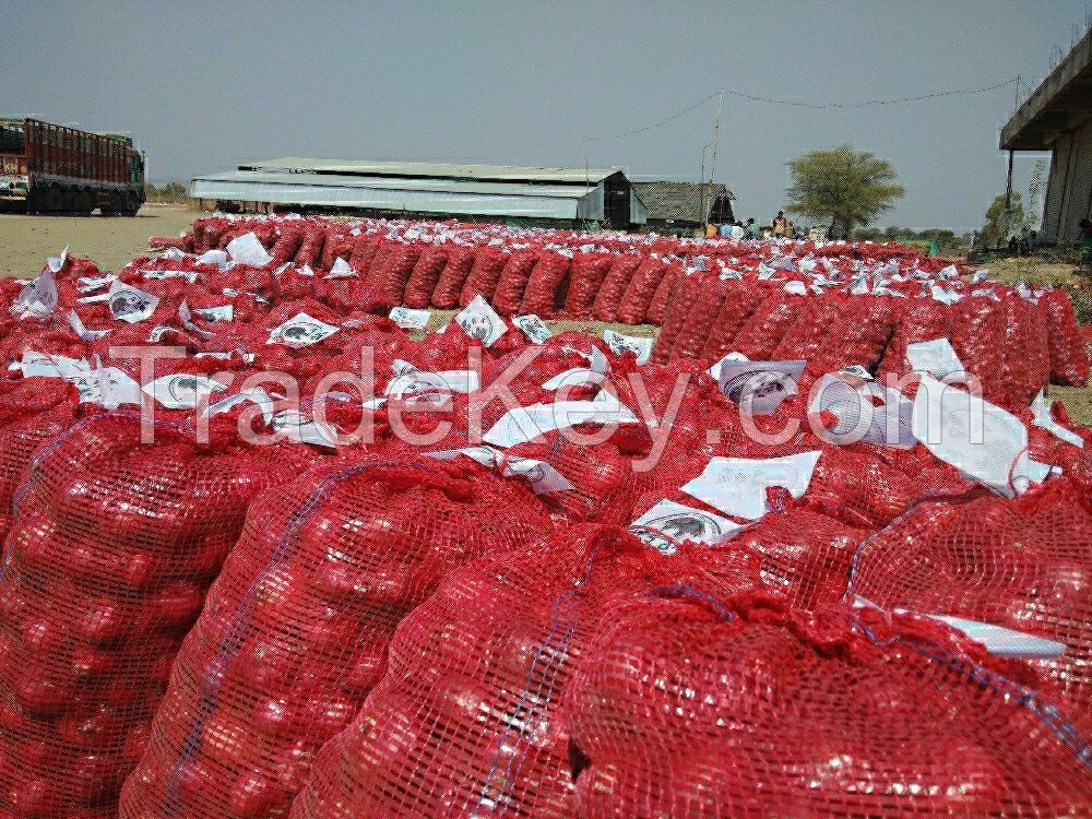 Hot Selling Top Quality A Grade Fresh Red Onions Wholesale Price Available at