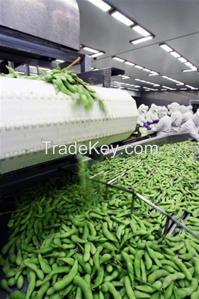 Buy A Grade Wholesaler Price Frozen Green Soybeans IQF Soy Bean 500g Pack Frozen Edamame Kernels/ Soya Bean /Soy Beans