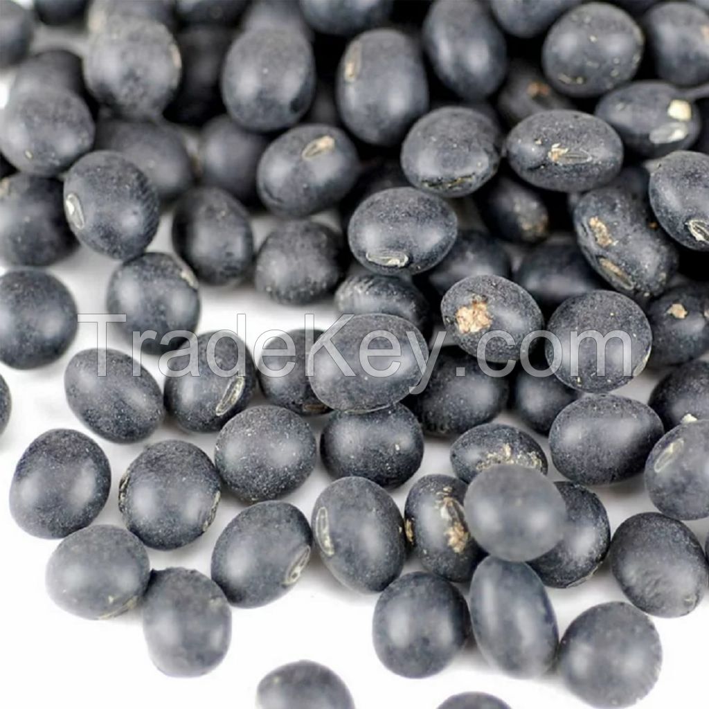 High Quality Black Soybean with Green Kernel 7.5mm+ size