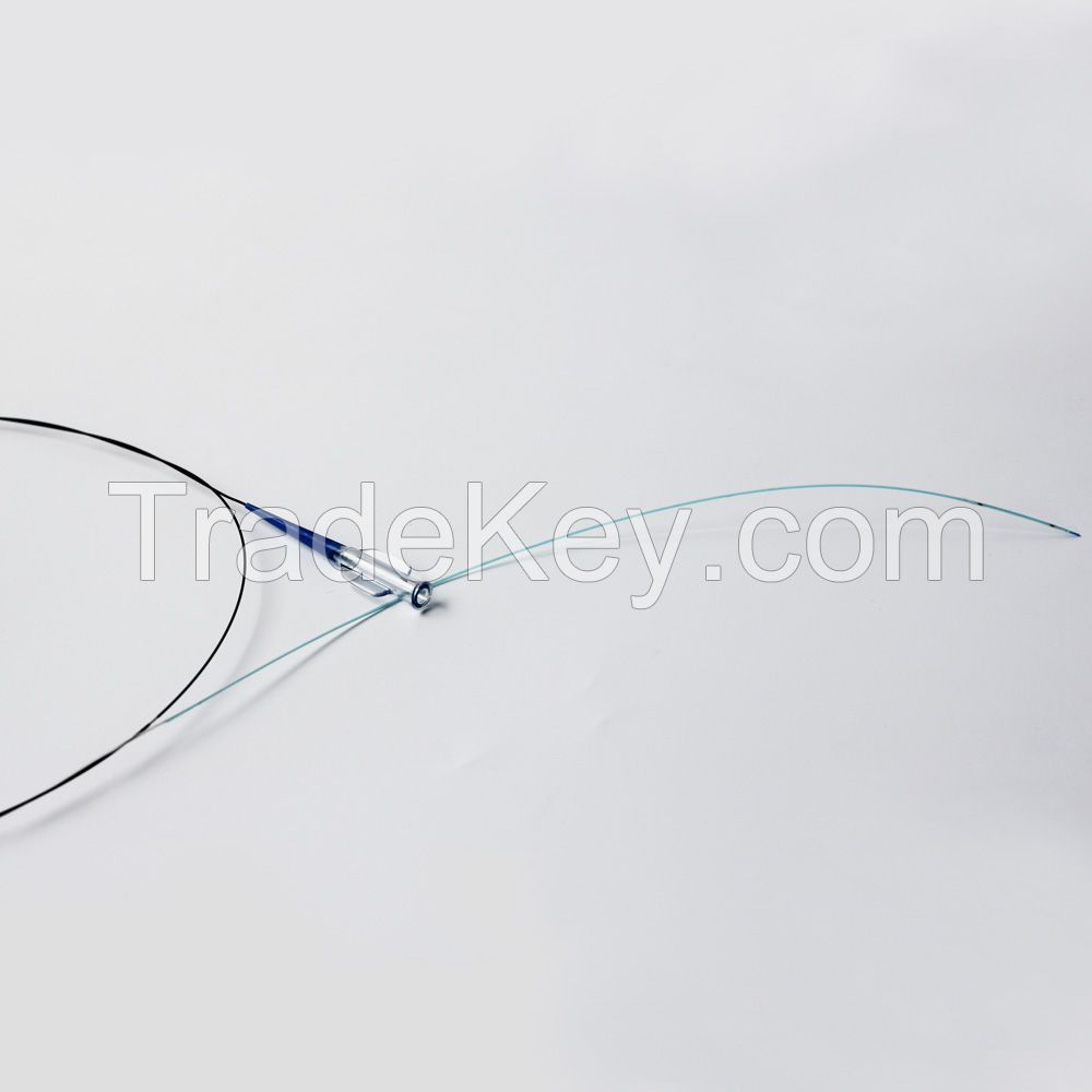 Advan PTCA Balloon Dilatation Catheter