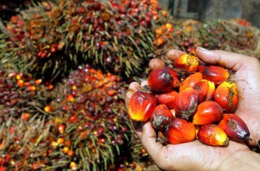 Red palm Oil