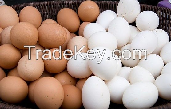 Fresh Chicken Eggs (White & Brown)