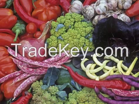 100% Organic Heirloom Vegetable & Herb Bulk Pack