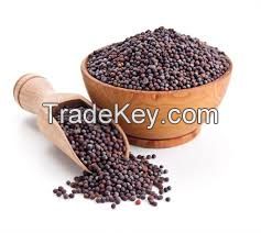 High Quality MUSTARD SEEDS