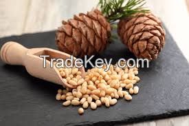 High Quality pine nut