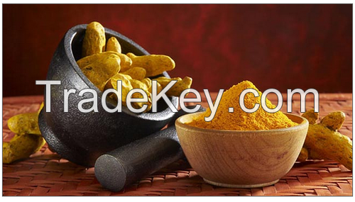 High Quality TURMERIC POWDER