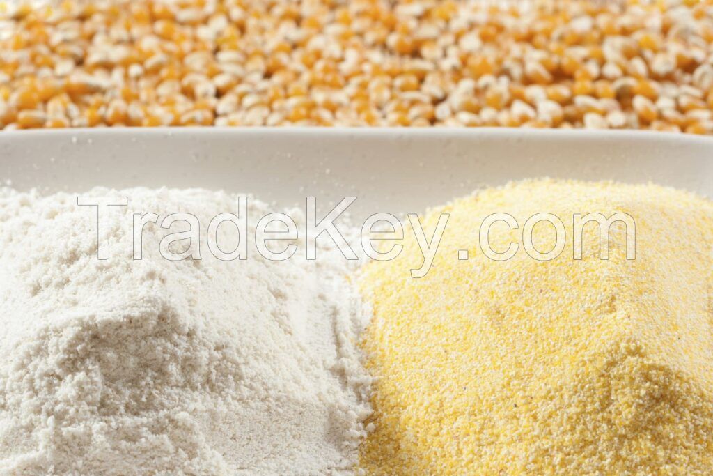 High Quality CORN FLOUR