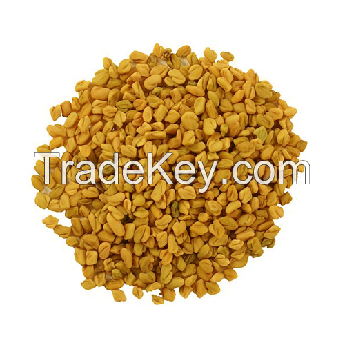 High Quality FENUGREEK