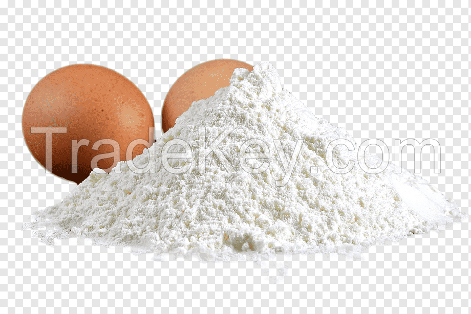 High Quality POWDERED EGGS