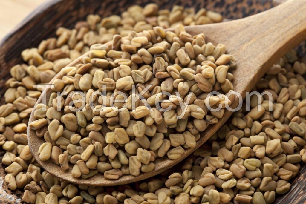 High Quality FENUGREEK