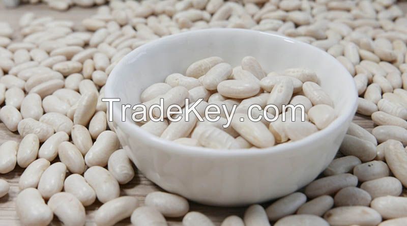 High Quality WHITE KIDNEY BEANS