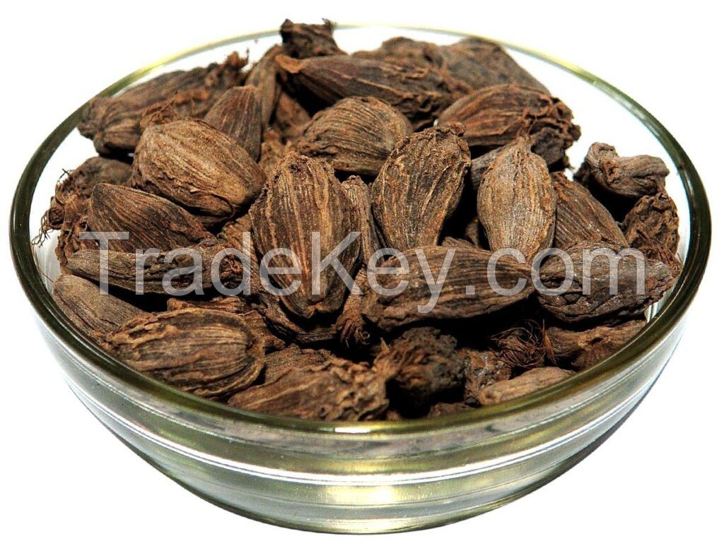 High Quality BLACK CARDAMOM