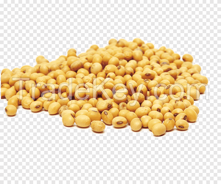 High Quality SOY