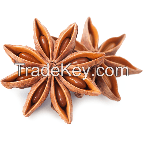 High Quality STAR ANISE SEEDS