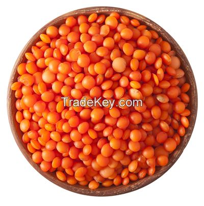 High Quality  RED FOOTBALL LENTILS
