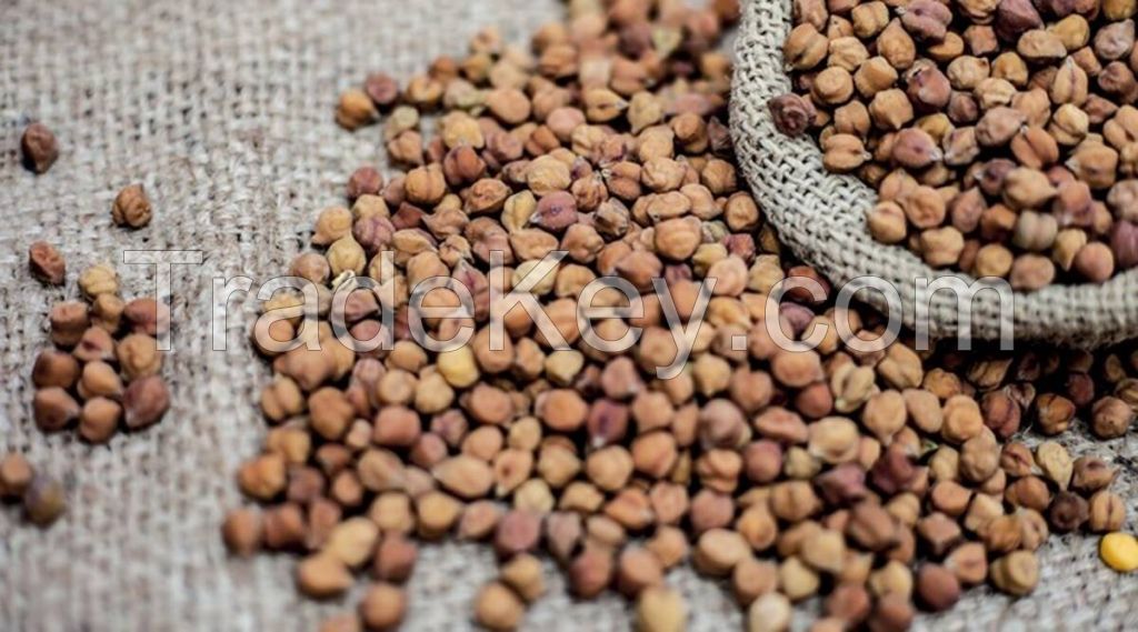 High Quality BLACK CHANA